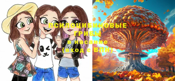 метадон Зеленокумск