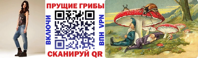 Псилоцибиновые грибы мицелий  Печора 